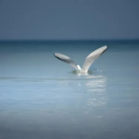 Bed and Breakfast Barcelona Mikoszewo