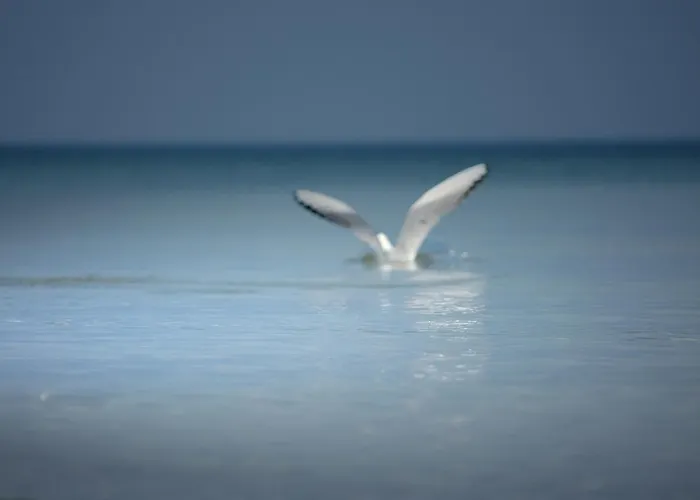 Panzió Barcelona Mikoszewo